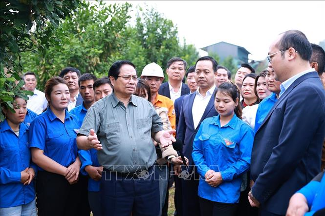 Thủ tướng Phạm Minh Chính: Cần biến núi rừng Tây Bắc trùng điệp thành của cải vật chất